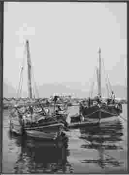 ���� ������ ��� ��� ����